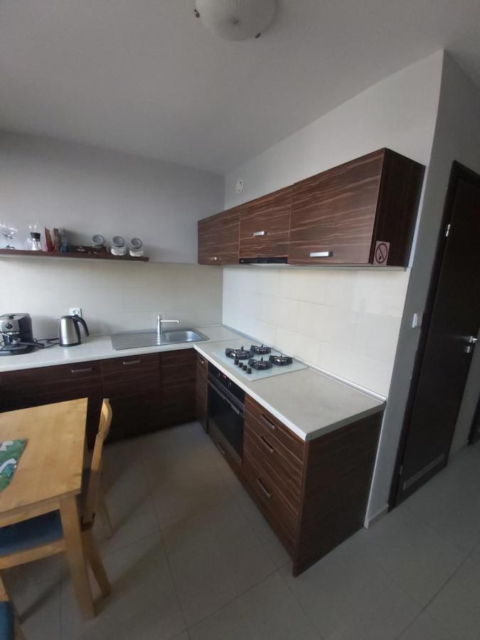 Apartament Z Ogrodem Tychy Bagian luar foto